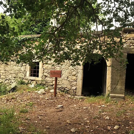 Axenti