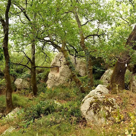 Axenti Agios Thomas (Crete)