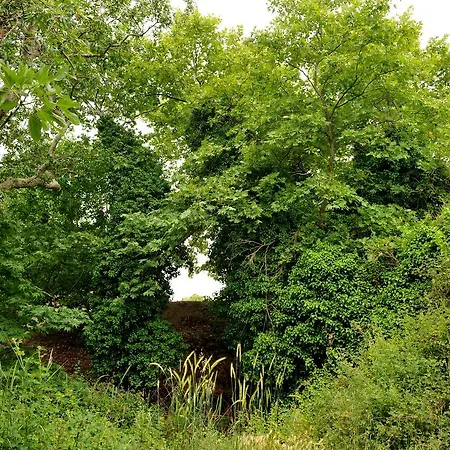 בית כפרי Axenti Agios Thomas (Crete)