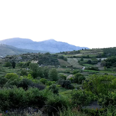 Axenti * Agios Thomas (Crete)